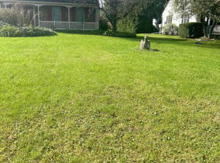 Steven S.'s turf maintenance service result