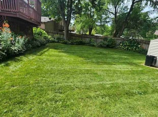 Elena G.'s turf maintenance service result