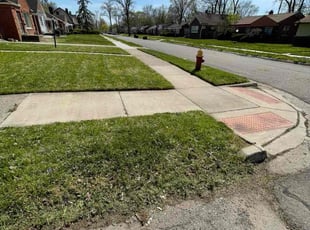 Melissa C.'s grass maintenance service result