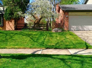Laura C.'s lawn maintenance service result