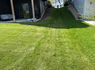 James D.'s turf maintenance service result