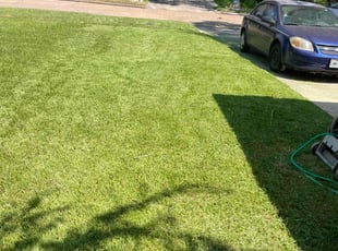 Tanya T.'s lawn care services service result