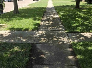 Michael B.'s lawn maintenance service result