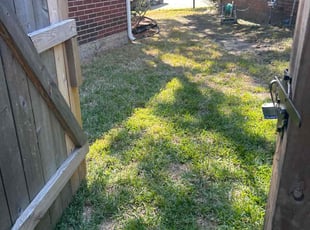 Tommy B.'s Bush Trimming service result