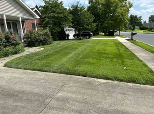 Burt S.'s yard work service result