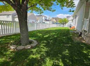 Neil B.'s grass cutting service result