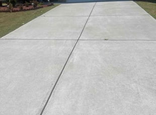 Adreana S.'s turf care service result