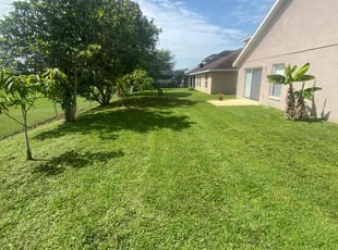 Renee G.'s lawn care service result