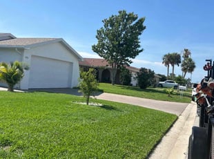 Mary B.'s lawn service service result