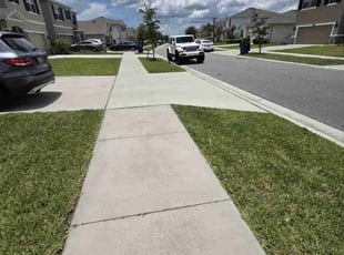 Charna Z.'s lawn maintenance service result