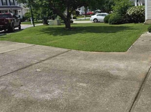 Leigh H.'s lawn care service result