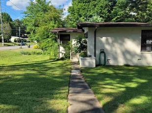 Ricardo N.'s grass cutting service result