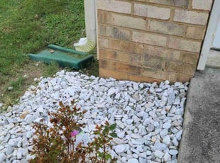 Doug P.'s Bush Trimming service result