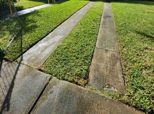 Connie L.'s lawn maintenance service result