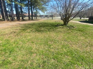 Marvin S.'s lawn maintenance service result