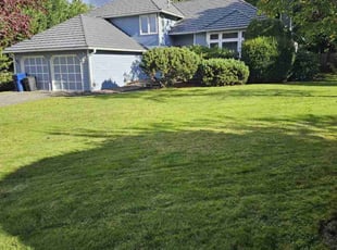 Fernie B.'s lawn service service result