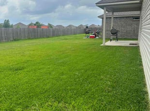 Sid R.'s grass maintenance service result