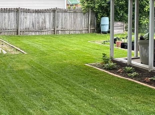 Amanda R.'s grass cutting service result