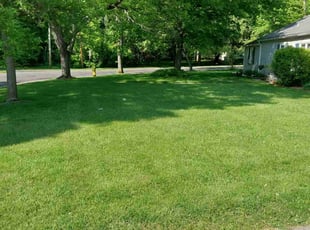 Judy P.'s lawn maintenance service result