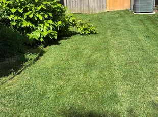 Loretta S.'s turf maintenance service result