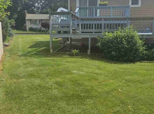 Arpit P.'s turf care service result