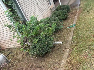 Sandra H.'s Flower Bed Weeding service result