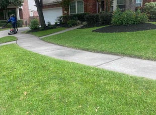Jonathon A.'s lawn service service result