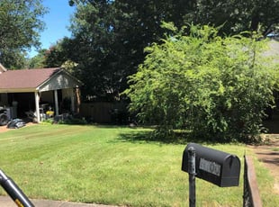 Ashley S.'s grass cutting service result