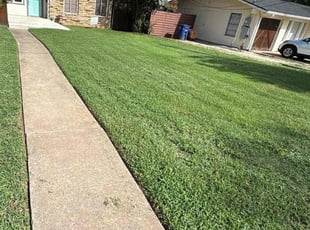 Steven S.'s lawn maintenance service result