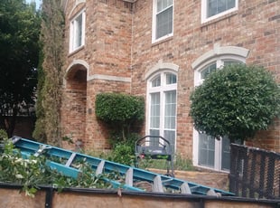 Theresa C.'s Bush Trimming service result