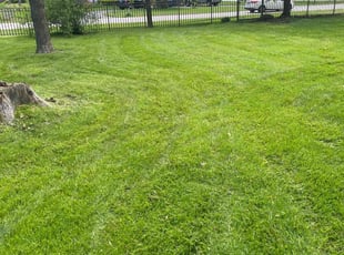 Gary E.'s turf care service result