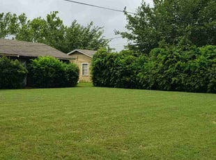 Tabowei G.'s lawn maintenance service result