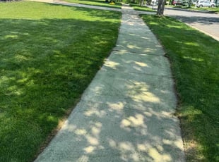 Hannah P.'s lawn care service result