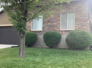 Alisha K.'s lawn care services service result