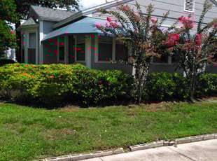 Amy A.'s Bush Trimming service result