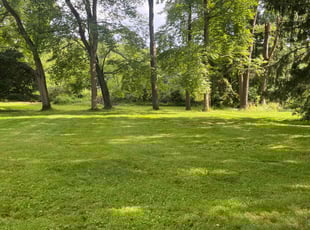 Anna J.'s turf maintenance service result