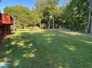 Yusuf S.'s turf maintenance service result