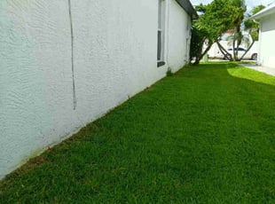 Paul B.'s grass maintenance service result