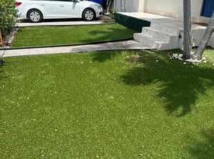 Iliana T.'s Leaf Removal service result