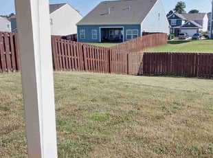 Chelsea D.'s lawn care services service result