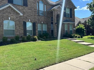 Doris H.'s lawn service service result