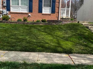 Tina G.'s grass maintenance service result