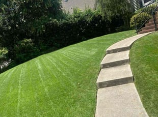 Paul S.'s lawn care services service result