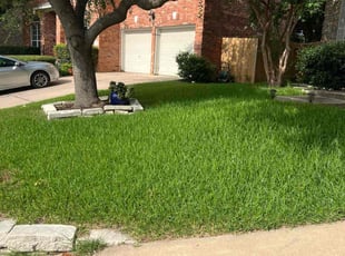 Brittany R.'s grass cutting service result