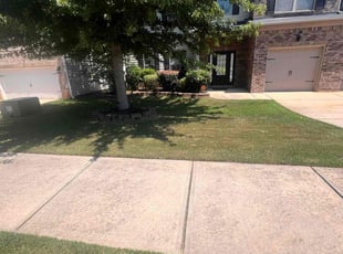 Rodger E.'s turf maintenance service result
