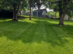 Ashley F.'s yard work service result