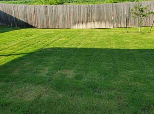 Nathalie L.'s turf care service result