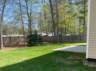 Robert P.'s turf care service result