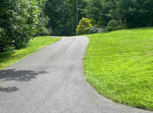 Denise H.'s lawn maintenance service result