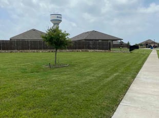 Diane L.'s grass maintenance service result